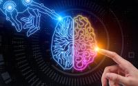 Artificial intelligence and future concept Graphic of a robotic hand is on the left side of the picture, and touching the left hemisphere of the brain which is in blue. On the right hand side of the picture, a human hand is pointing to the middle at the right hemisphere of the brain in rainbow.