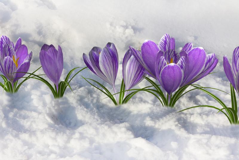 Positive Emotions Positive Emotions