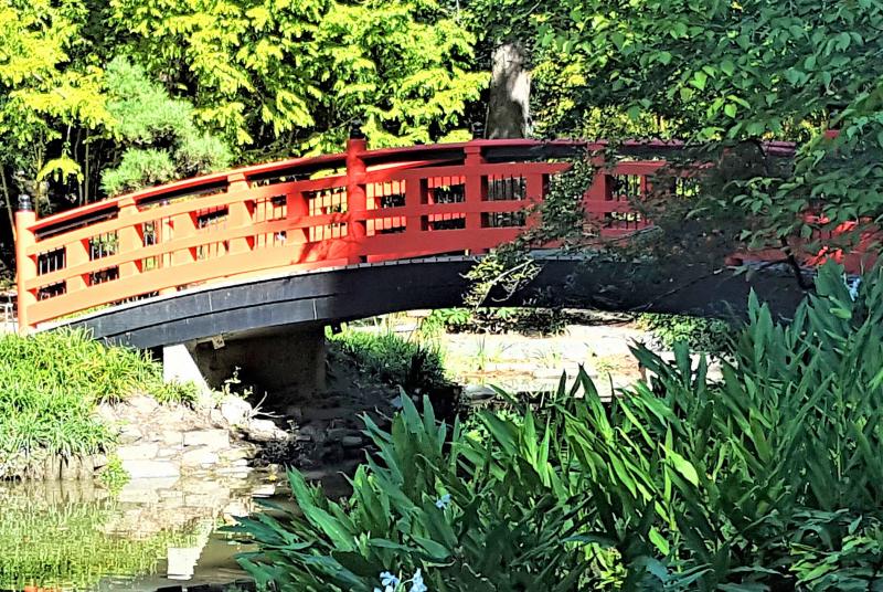 Connecting emotions, embodiment and stories in coaching