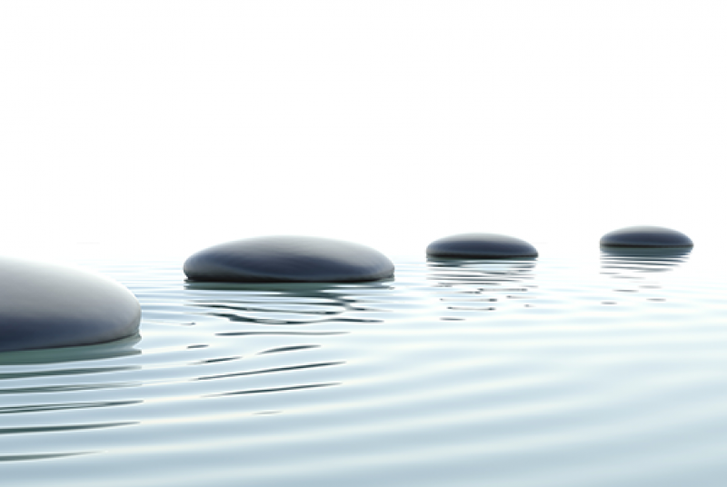 Creating Resilient Minds